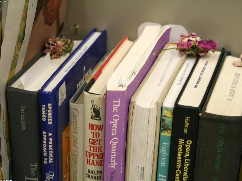 គេហទំព័រល្អបំផុត: ការបើកផ្លូវថ្មីសម្រាប់អាជីពនិងជីវិត