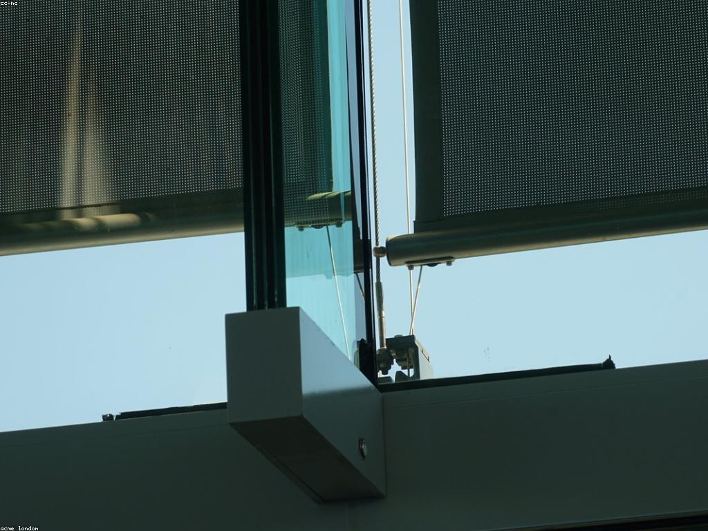 សារៈសំខាន់នៃល្បែង